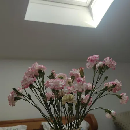 Apartment Zulic Landshut