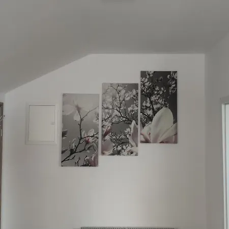 Apartment Zulic